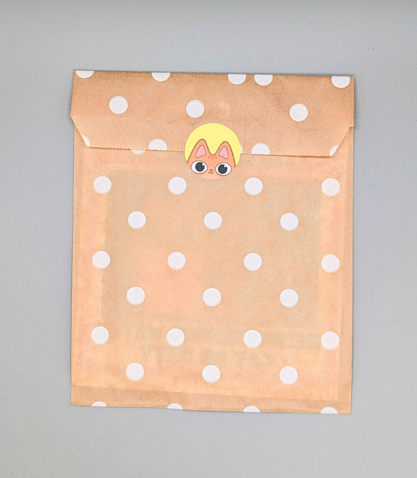 Orange Tabby Cat Curious in eco-friendly paper packaging