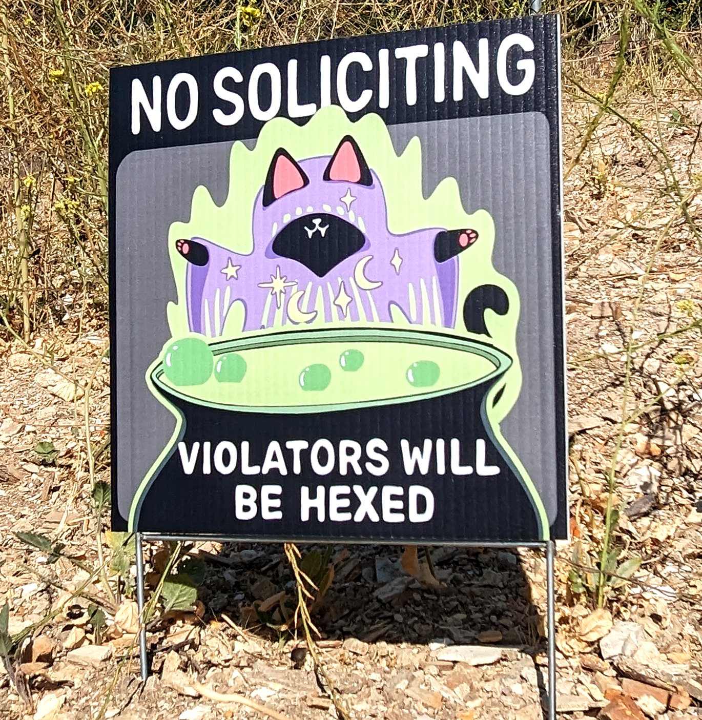 witch cat no soliciting sign for yard that featurs a cat casting a spell and reads violators will be hexed