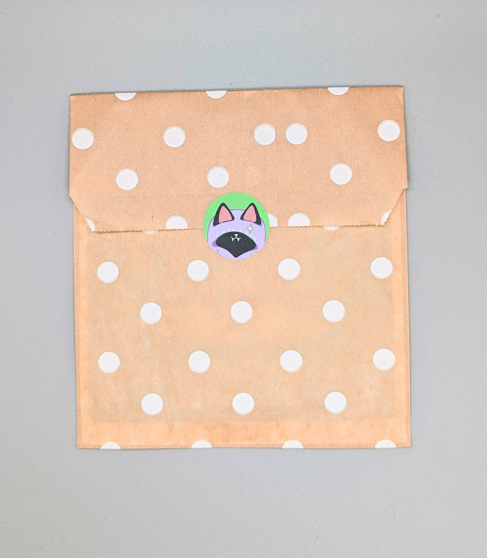 No Soliciting Witchy Cat Sign Window Cling Black Cat in eco-friendly paper packaging