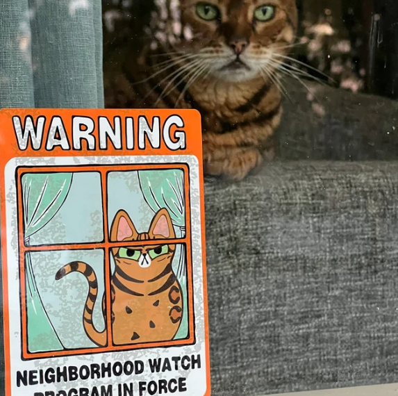 Neighborhood Watch Cat Window Cling - Bengal Cat Judgy