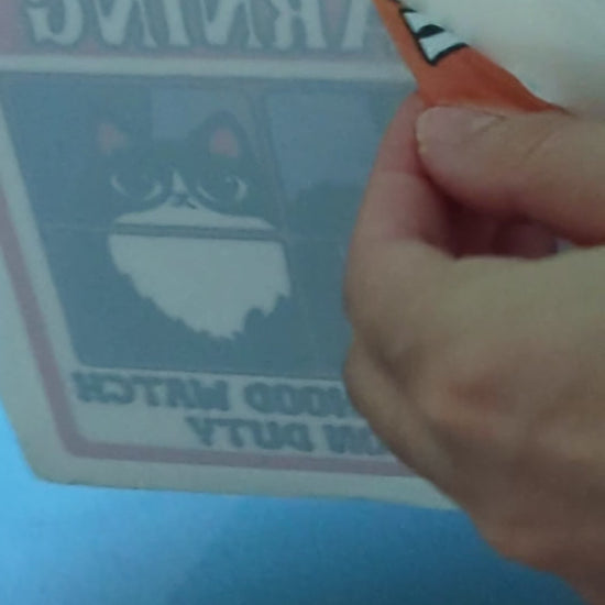 Fluffy tuxedo cat window cling