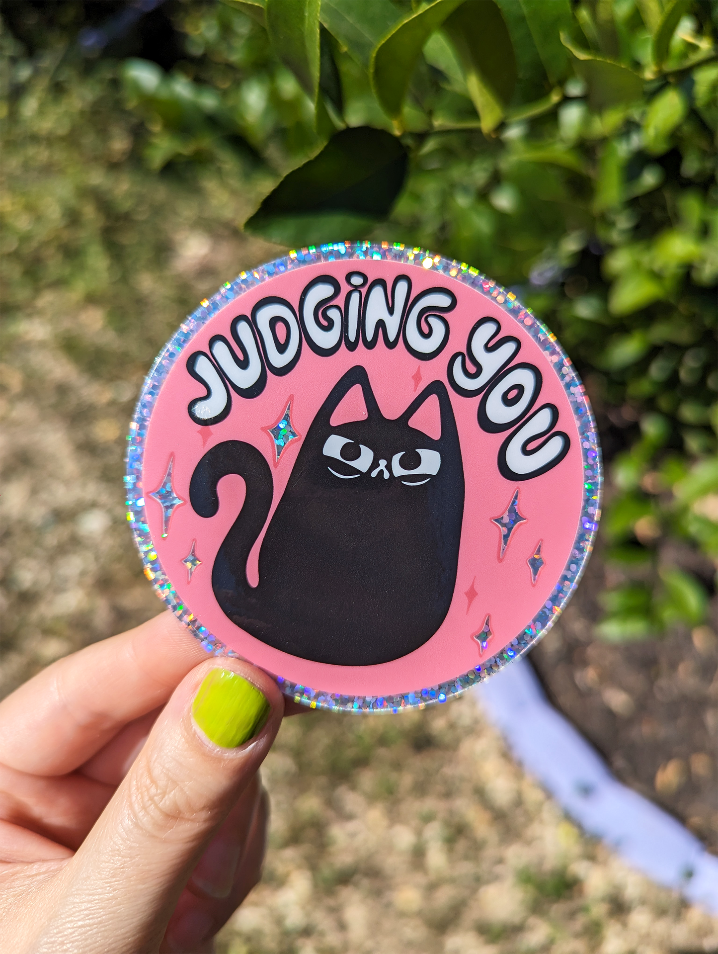 Hand holding funny judgy cat sticker, black cat on sticker is very chonky  